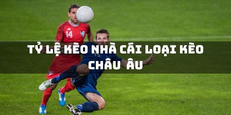 Cách đọc tỷ lệ kèo châu âu đúng nhất cho tân thủ 