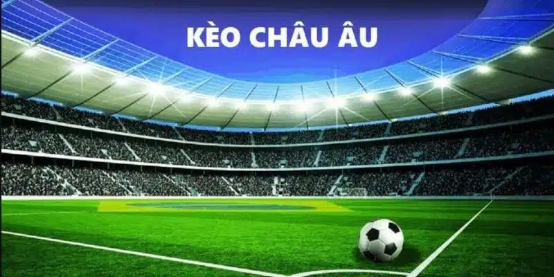 Soi kèo hungary vs thụy sĩ chi tiết